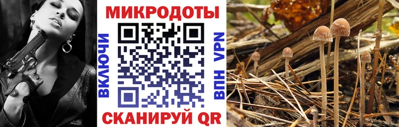 Галлюциногенные грибы мицелий  Копейск 